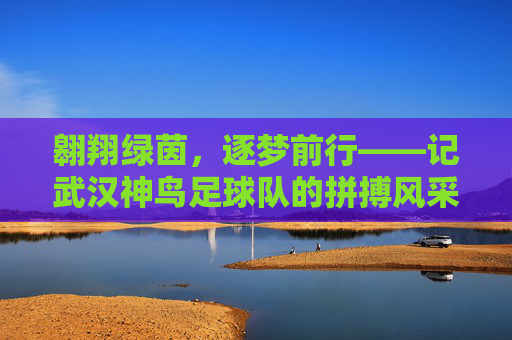 翱翔绿茵，逐梦前行——记武汉神鸟足球队的拼搏风采