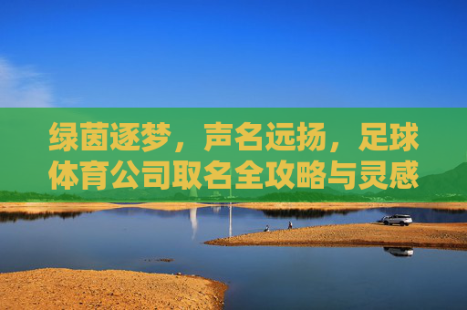 绿茵逐梦，声名远扬，足球体育公司取名全攻略与灵感集锦