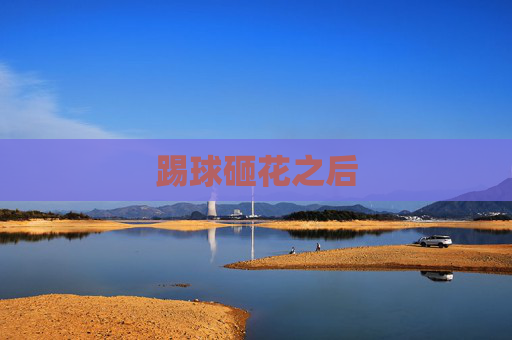 踢球砸花之后