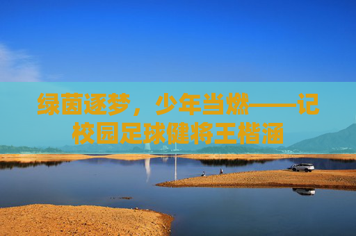 绿茵逐梦,少年当燃——记校园足球健将王楷涵