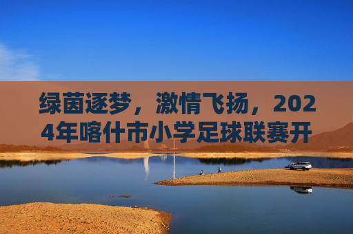 绿茵逐梦,激情飞扬,2024年喀什市小学足球联赛开赛时间及赛程安排