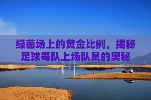 绿茵场上的黄金比例,揭秘足球每队上场队员的奥秘
