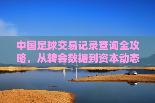 中国足球交易记录查询全攻略,从转会数据到资本动态的深度解析