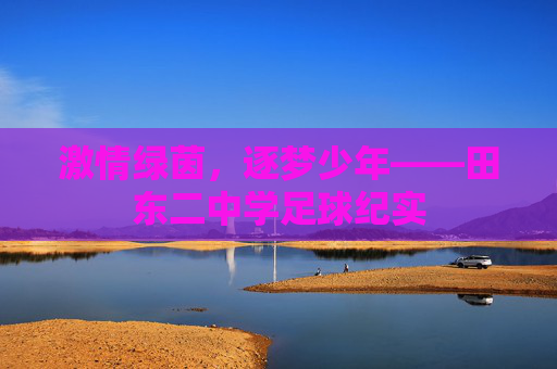 激情绿茵,逐梦少年——田东二中学足球纪实
