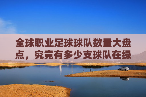 全球职业足球球队数量大盘点,究竟有多少支球队在绿茵场上奔跑?