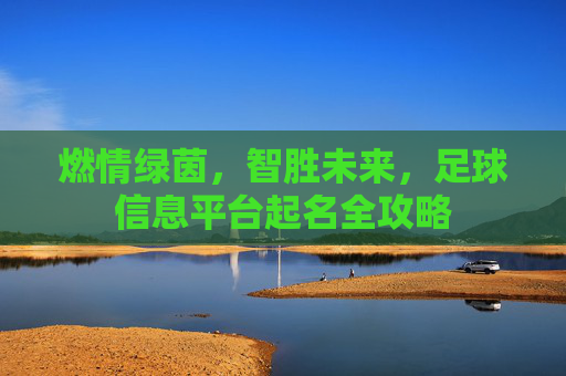 燃情绿茵，智胜未来，足球信息平台起名全攻略