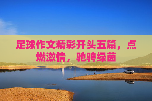 足球作文精彩开头五篇，点燃激情，驰骋绿茵