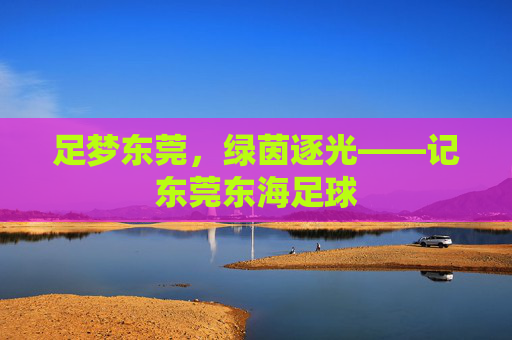 足梦东莞,绿茵逐光——记东莞东海足球