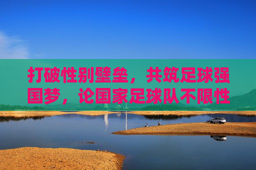 打破性别壁垒,共筑足球强国梦,论国家足球队不限性别的未来