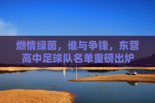 燃情绿茵,谁与争锋,东营高中足球队名单重磅出炉