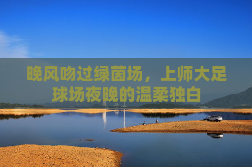 晚风吻过绿茵场,上师大足球场夜晚的温柔独白