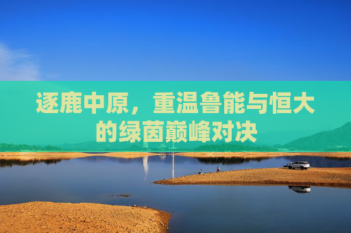 逐鹿中原，重温鲁能与恒大的绿茵巅峰对决