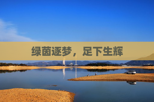 绿茵逐梦,足下生辉