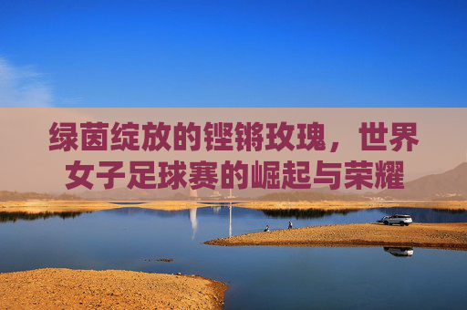 绿茵绽放的铿锵玫瑰,世界女子足球赛的崛起与荣耀