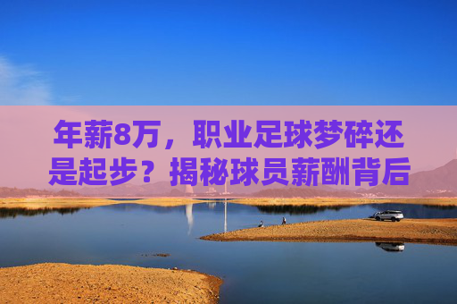 年薪8万,职业足球梦碎还是起步?揭秘球员薪酬背后的残酷真相
