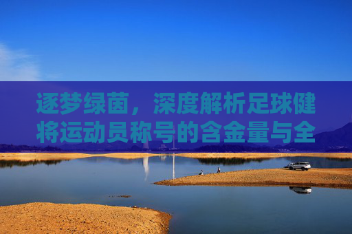 逐梦绿茵,深度解析足球健将运动员称号的含金量与全称