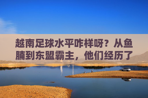 越南足球水平咋样呀?从鱼腩到东盟霸主,他们经历了什么?