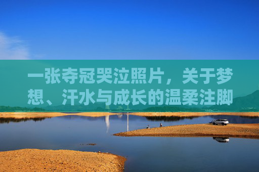 一张夺冠哭泣照片,关于梦想、汗水与成长的温柔注脚