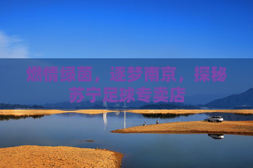 燃情绿茵,逐梦南京,探秘苏宁足球专卖店
