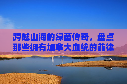 跨越山海的绿茵传奇,盘点那些拥有加拿大血统的菲律宾足球明星