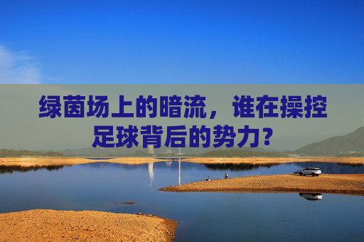 绿茵场上的暗流,谁在操控足球背后的势力?