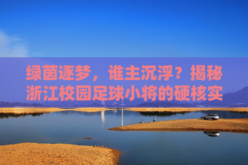 绿茵逐梦,谁主沉浮?揭秘浙江校园足球小将的硬核实力