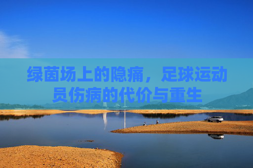 绿茵场上的隐痛,足球运动员伤病的代价与重生