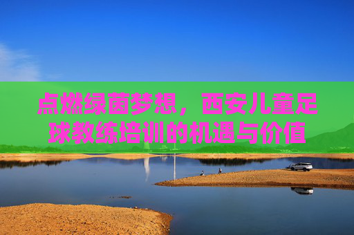 点燃绿茵梦想,西安儿童足球教练培训的机遇与价值