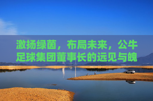 激扬绿茵,布局未来,公牛足球集团董事长的远见与魄力