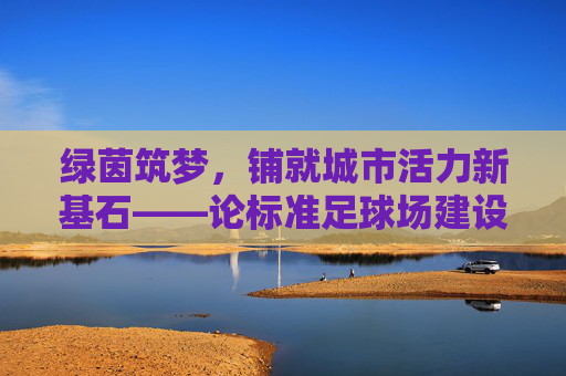 绿茵筑梦，铺就城市活力新基石——论标准足球场建设的深远意义