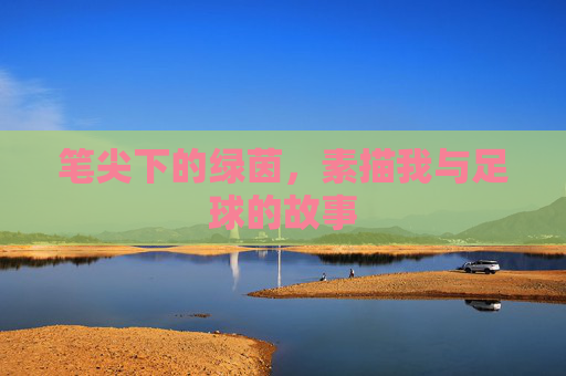 笔尖下的绿茵,素描我与足球的故事