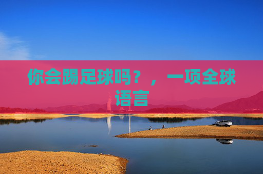 你会踢足球吗?,一项全球语言