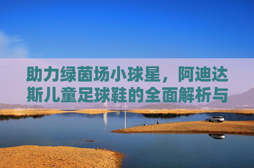 助力绿茵场小球星，阿迪达斯儿童足球鞋的全面解析与选购指南