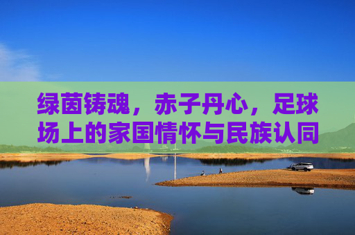 绿茵铸魂，赤子丹心，足球场上的家国情怀与民族认同