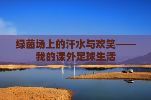 绿茵场上的汗水与欢笑——我的课外足球生活