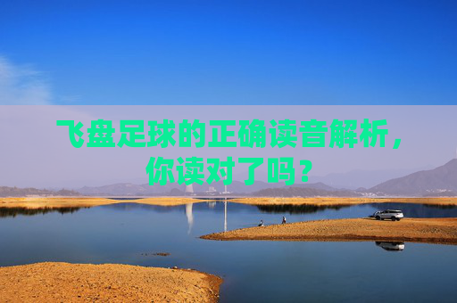 飞盘足球的正确读音解析,你读对了吗?