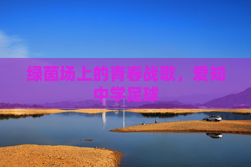 绿茵场上的青春战歌,爱知中学足球