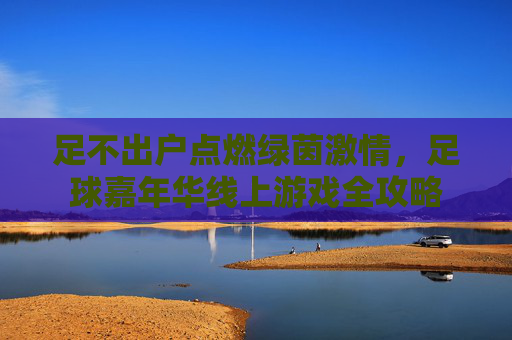 足不出户点燃绿茵激情,足球嘉年华线上游戏全攻略