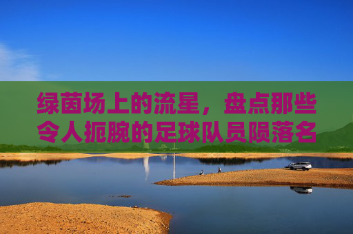 绿茵场上的流星，盘点那些令人扼腕的足球队员陨落名单