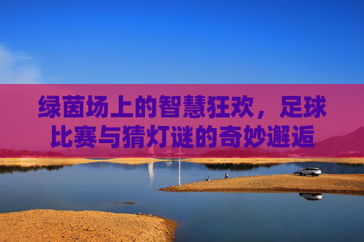 绿茵场上的智慧狂欢,足球比赛与猜灯谜的奇妙邂逅