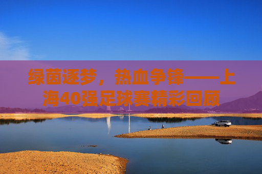 绿茵逐梦,热血争锋——上海40强足球赛精彩回顾