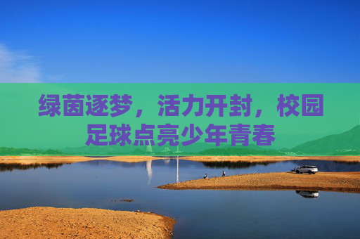 绿茵逐梦，活力开封，校园足球点亮少年青春