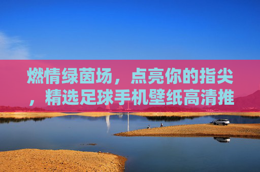 燃情绿茵场,点亮你的指尖,精选足球手机壁纸高清推荐