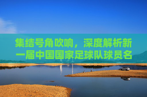 集结号角吹响,深度解析新一届中国国家足球队球员名单