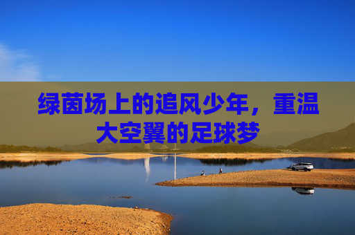 绿茵场上的追风少年,重温大空翼的足球梦