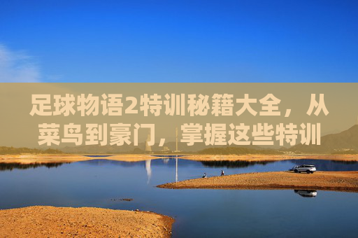 足球物语2特训秘籍大全,从菜鸟到豪门,掌握这些特训技巧轻松夺冠