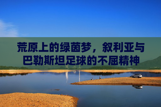 荒原上的绿茵梦,叙利亚与巴勒斯坦足球的不屈精神