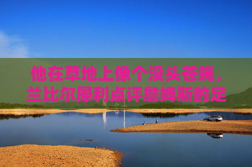 他在草地上像个没头苍蝇,兰比尔犀利点评詹姆斯的足球梦