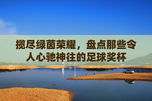 揽尽绿茵荣耀,盘点那些令人心驰神往的足球奖杯