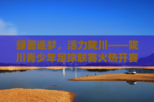 绿茵逐梦,活力陇川——陇川青少年足球联赛火热开赛